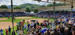 Wharfedale Pro ensures sound coverage at popular Swiss sporting event