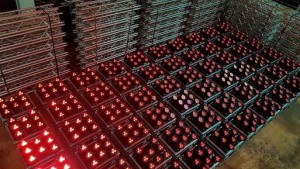 Systemwechsel bei Gahrens + Battermann mit Astera AX5