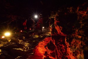 Humblo geben Waldkonzerte Akku-Lichttechnik von Cameo