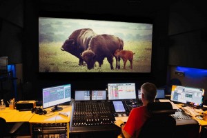 Wounded Buffalo Sound Studios create audio nature soundscapes with Avid