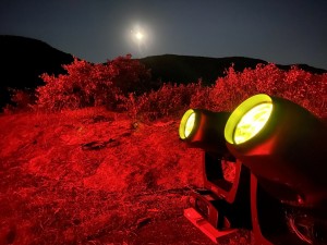 New York City Lites turns to Elation for “Illuminance” on Bannerman Island