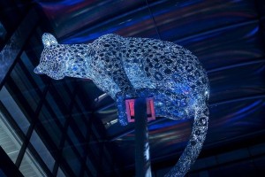 Anolis fixtures illuminate leopard Poised in Aberdeen